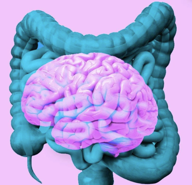 NEUROGASTROENTEROLOGY