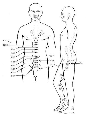 the-eight-extraordinary-vessels
