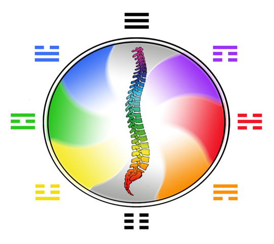 Spine-Physiology_kinesiology_cape town